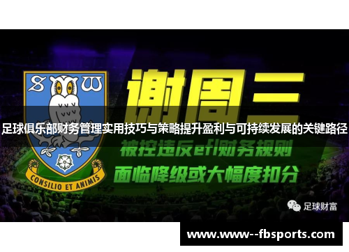 足球俱乐部财务管理实用技巧与策略提升盈利与可持续发展的关键路径 足球俱乐部财务管理实用技巧与策略提升盈利与可持续发展的关键路径
