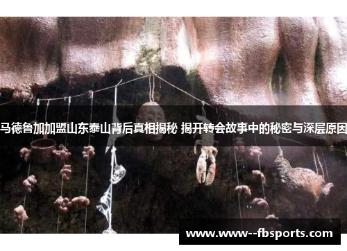 马德鲁加加盟山东泰山背后真相揭秘 揭开转会故事中的秘密与深层原因 马德鲁加加盟山东泰山背后真相揭秘 揭开转会故事中的秘密与深层原因